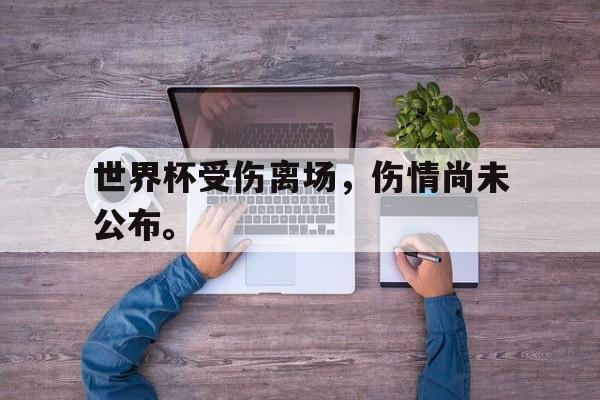 金年会app-世界杯受伤离场，伤情尚未公布。