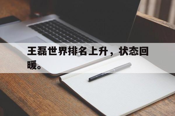 金年会app-王磊世界排名上升，状态回暖。
